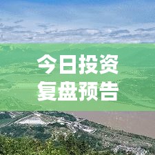 穷鸟入怀