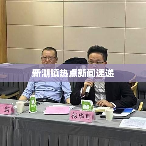 新湖镇热点新闻速递