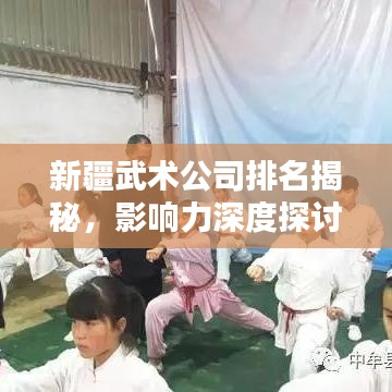 新疆武术公司排名揭秘，影响力深度探讨