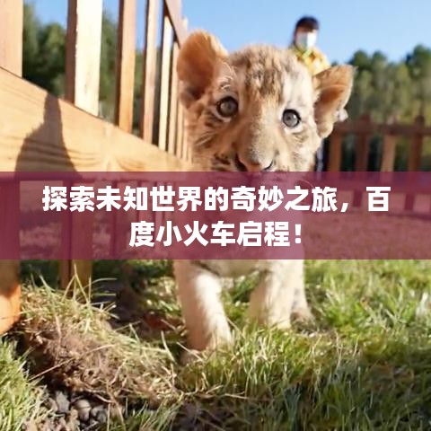 富贵有余