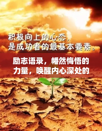贵冠履轻头足