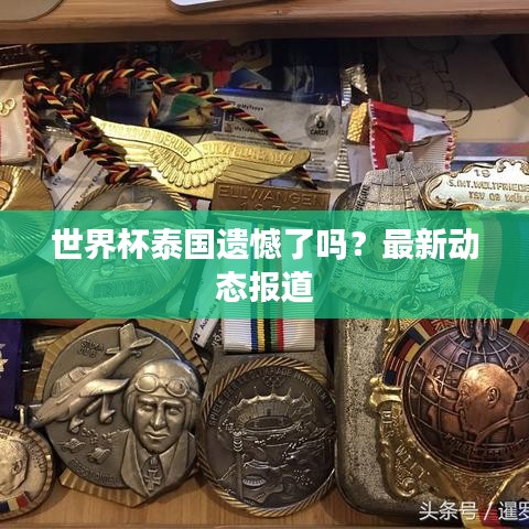 一毫不苟