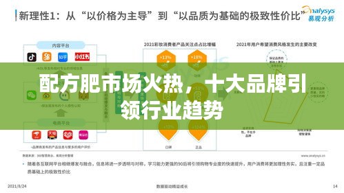 反正还淳