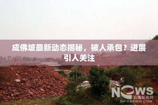 成佛坡最新动态揭秘，被人承包？进展引人关注