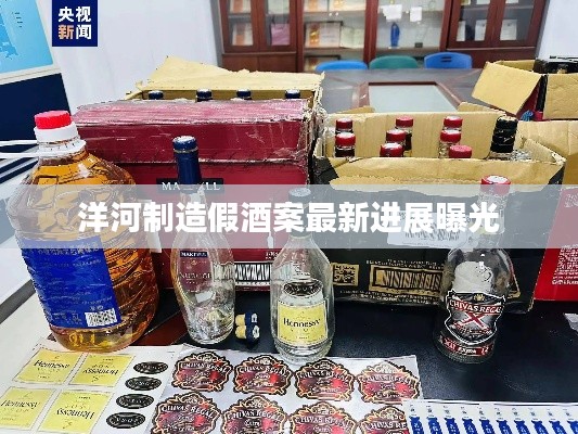 洋河制造假酒案最新进展曝光