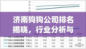 济南狗狗公司排名揭晓，行业分析与趋势展望