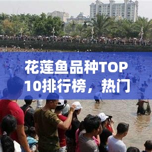 花莲鱼品种TOP10排行榜，热门品种大揭秘！