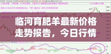 临河育肥羊最新价格走势报告，今日行情解析