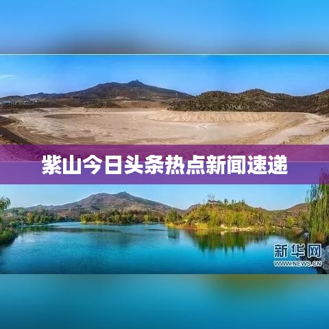 物稀为贵