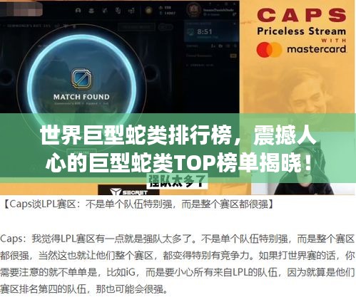 世界巨型蛇类排行榜，震撼人心的巨型蛇类TOP榜单揭晓！