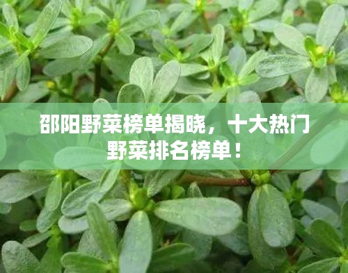 举步如飞