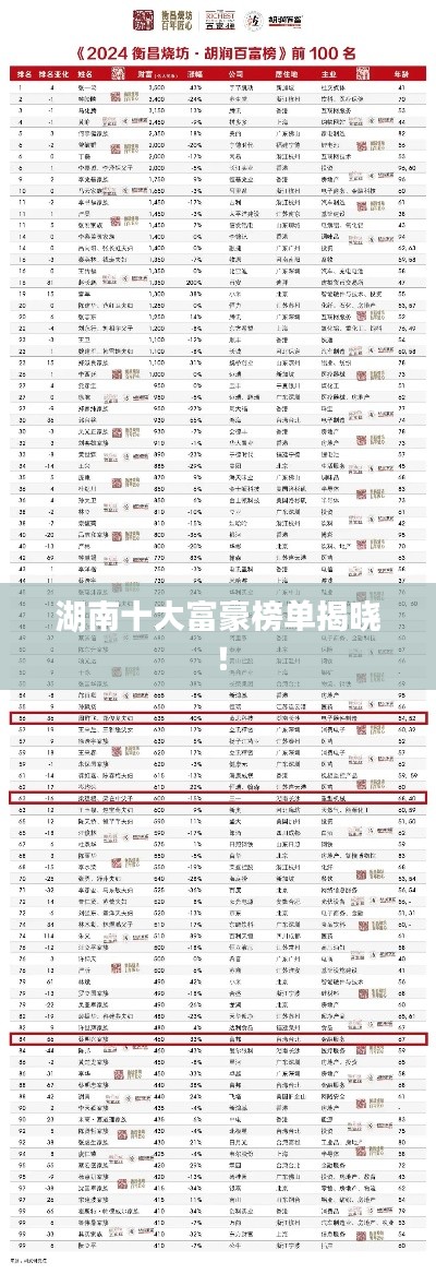 湖南十大富豪榜单揭晓！