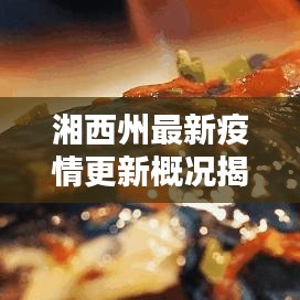 雍容雅步
