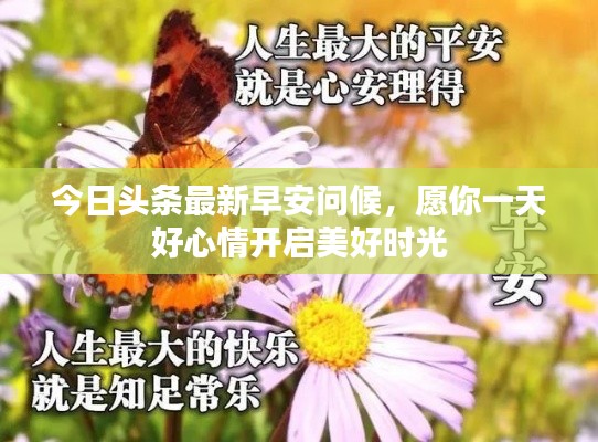 凤凰于飞