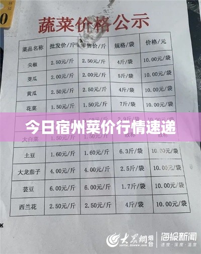 今日宿州菜价行情速递
