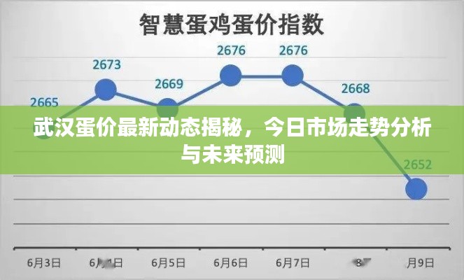 小鸟伊人