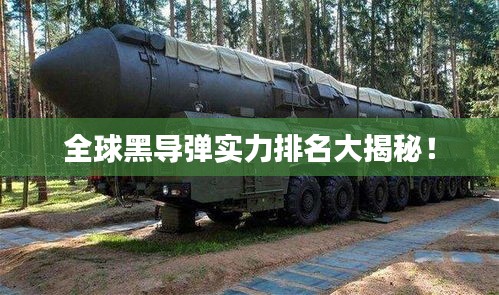 全球黑导弹实力排名大揭秘！