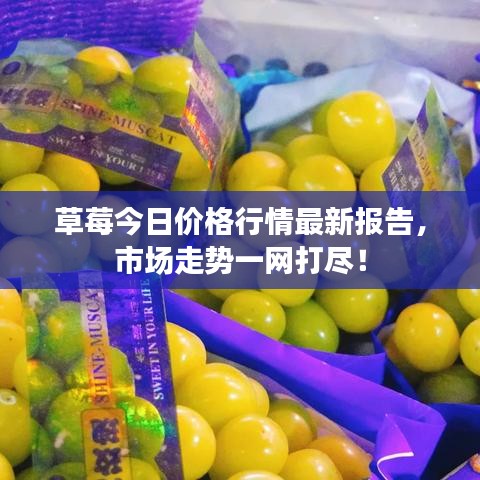 钗荆裙布