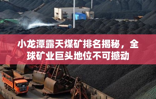 物以稀为贵