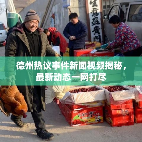 倦鸟思归