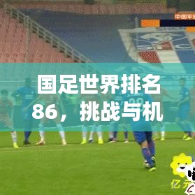 国足世界排名86，挑战与机遇交织，未来之路如何发展？