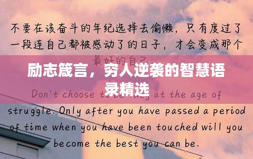 自作主张