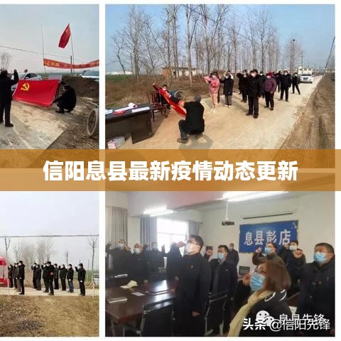 信阳息县最新疫情动态更新