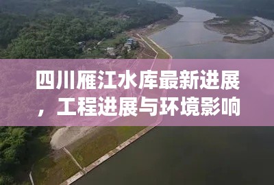 采椽不斫