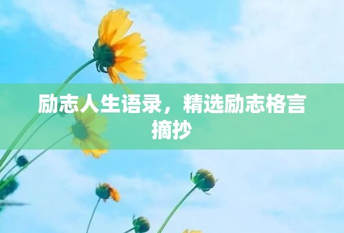 勇往直前