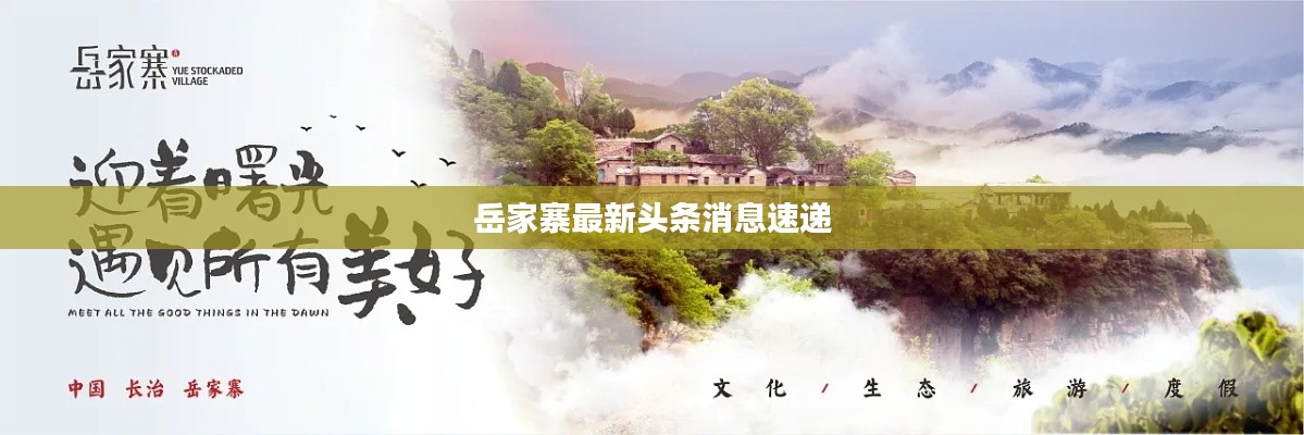 张弛不定