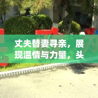 丈夫替妻寻亲，展现温情与力量，头条新闻背后的感人故事