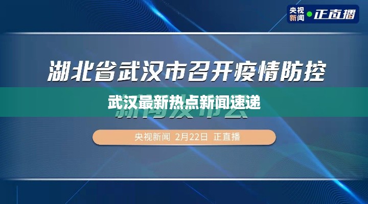 武汉最新热点新闻速递