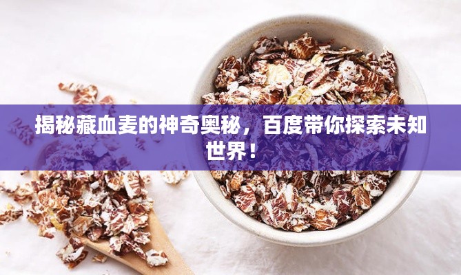 揭秘藏血麦的神奇奥秘，百度带你探索未知世界！