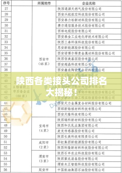 陕西各类接头公司排名大揭秘！