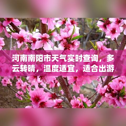 河南南阳市天气实时查询，多云转晴，温度适宜，适合出游！