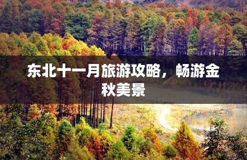 东北十一月旅游攻略，畅游金秋美景