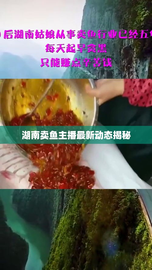 湖南卖鱼主播最新动态揭秘