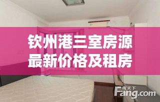 钦州港三室房源最新价格及租房信息总览