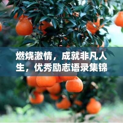 燃烧激情，成就非凡人生，优秀励志语录集锦