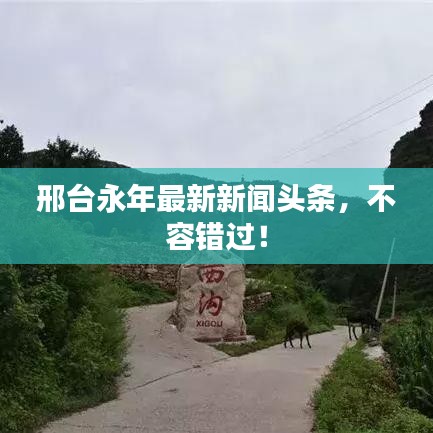 邢台永年最新新闻头条，不容错过！