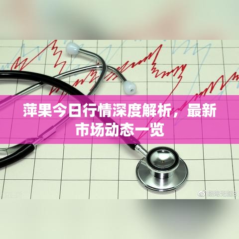 萍果今日行情深度解析，最新市场动态一览