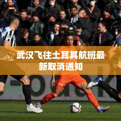 武汉飞往土耳其航班最新取消通知