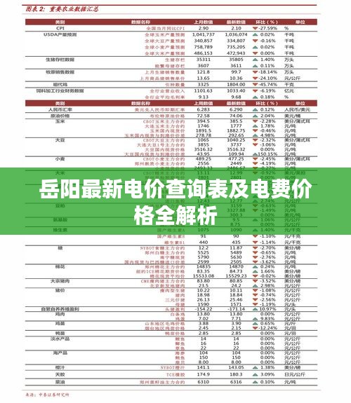 岳阳最新电价查询表及电费价格全解析