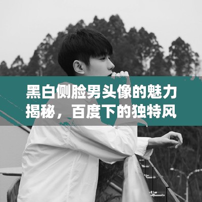 黑白侧脸男头像的魅力揭秘，百度下的独特风采与吸引力探索