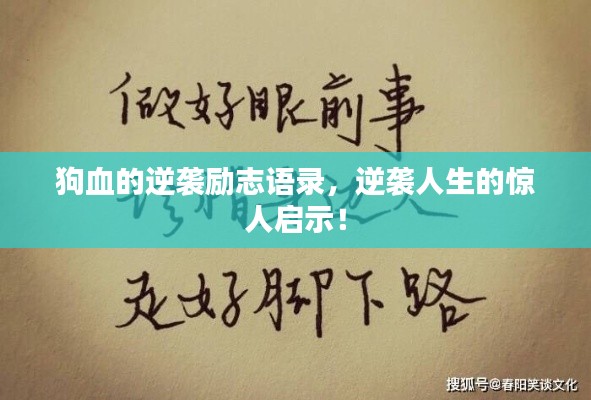 狗血的逆袭励志语录，逆袭人生的惊人启示！