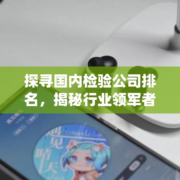 探寻国内检验公司排名，揭秘行业领军者地位