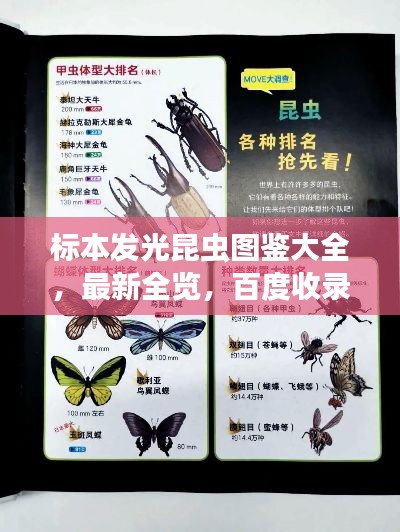 标本发光昆虫图鉴大全，最新全览，百度收录标准