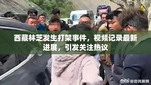 西藏林芝发生打架事件，视频记录最新进展，引发关注热议