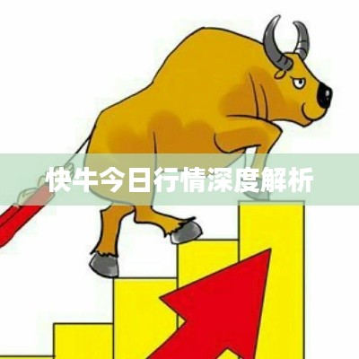 快牛今日行情深度解析
