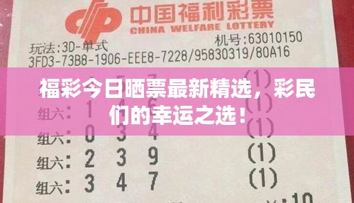福彩今日晒票最新精选，彩民们的幸运之选！